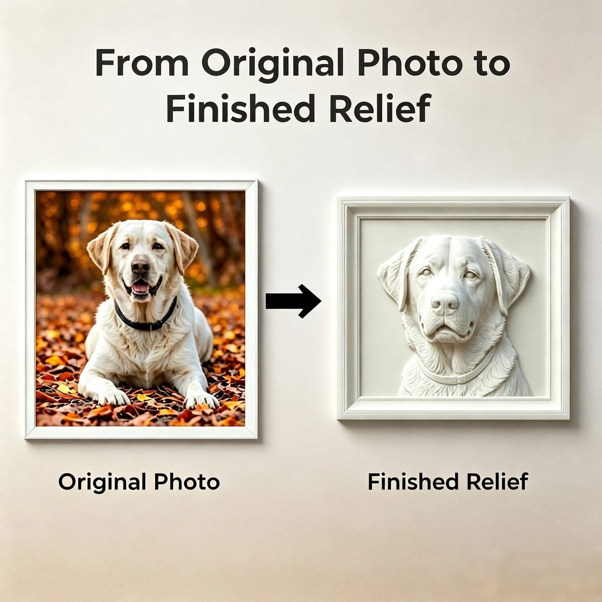 Customize 3D Pictures